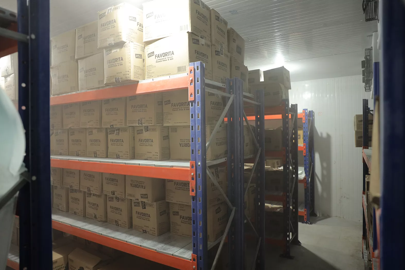 pic-0461-9-69a1366b3bc94 (1)